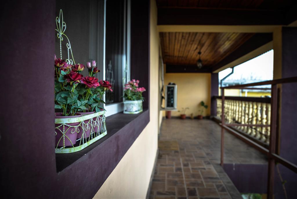 Collosal Apartment With Garden Bucureşti Exterior foto