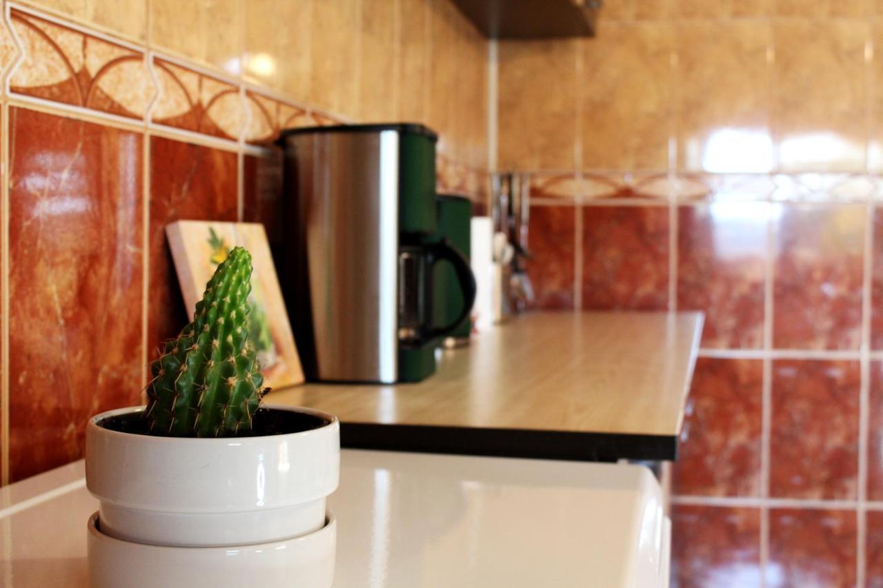 Collosal Apartment With Garden Bucureşti Exterior foto